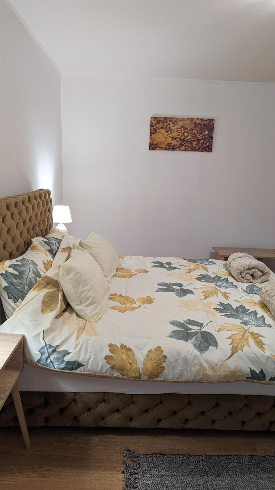 A&M Apartmani Szabadka Kültér fotó